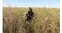 Маскировочный халат Taganrog Кикимора – купить по цене 3550 руб. в интернет-магазине в городе Курск картинка 13